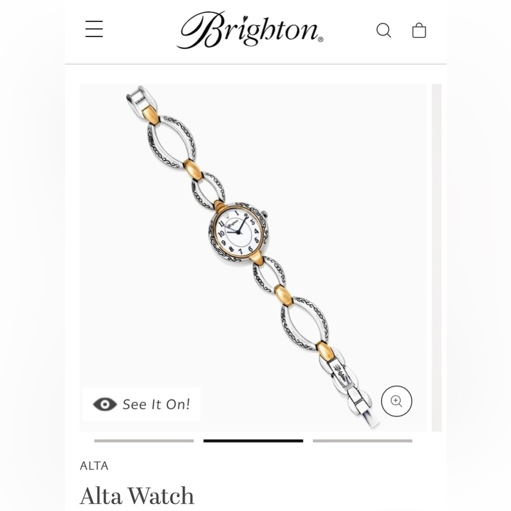 Brighton Alta Watch